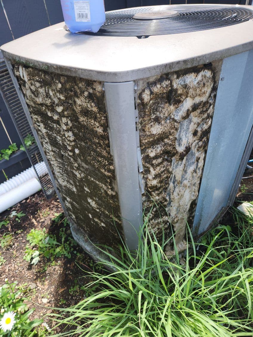 Dirty air conditioning unit covered in mold and surrounded by overgrown grass and weeds.